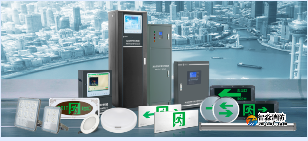 中國智能疏散市場分析