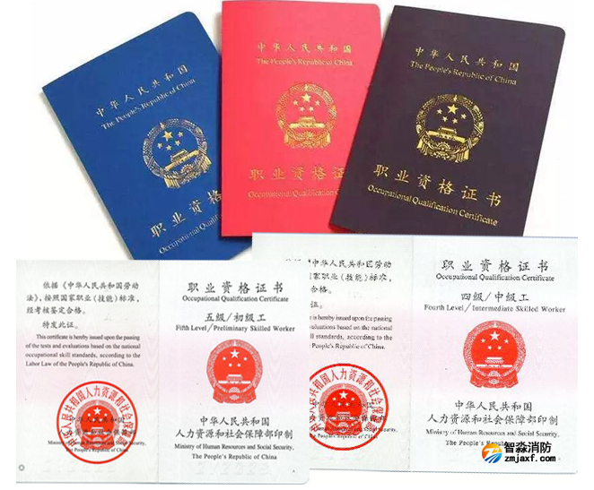 1667028070178516.png image.png