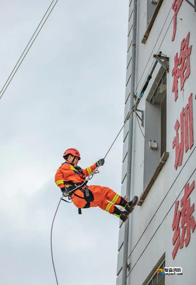 1668563491187508.png image.png