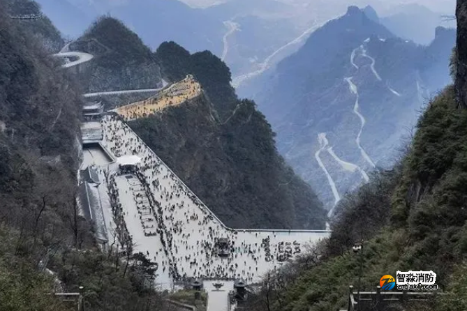 1675305559157584.png image.png