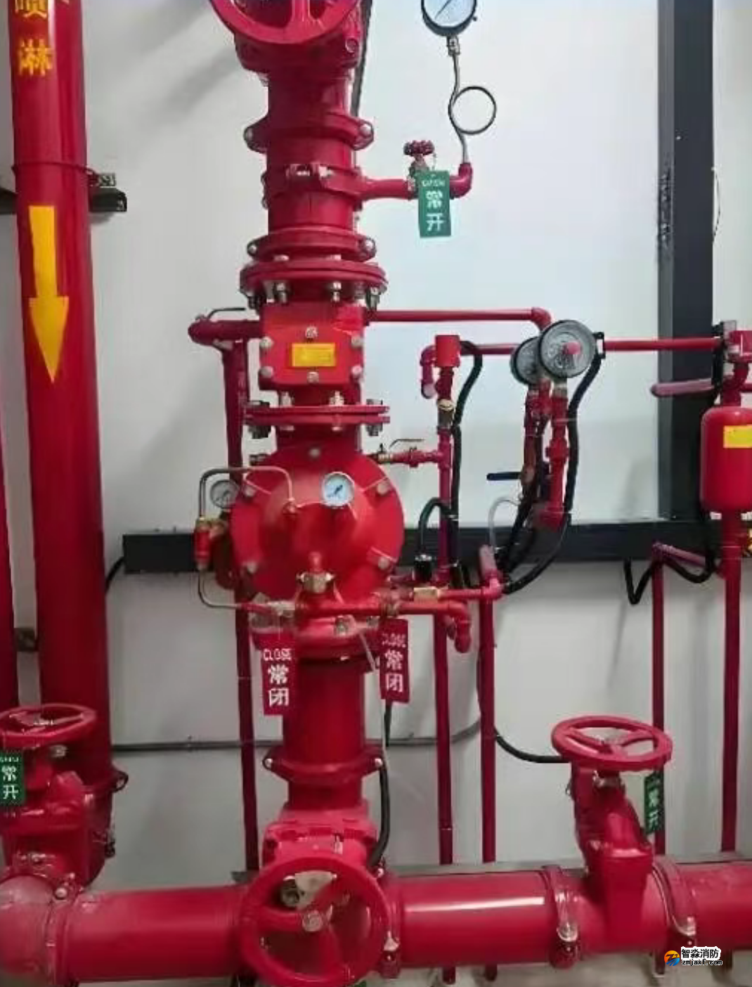 1772518649311972.png 1772518649311972.png