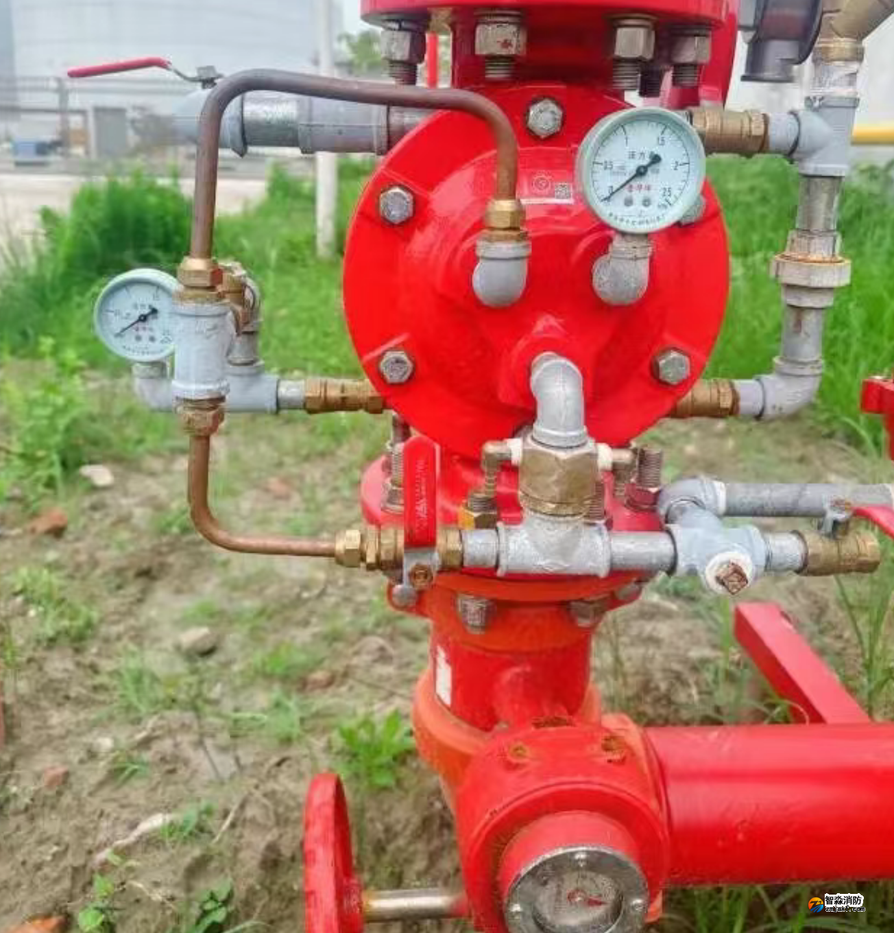 1772518698336996.png 1772518698336996.png